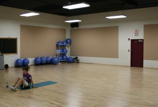 FABRI-SORB DECORATIVE ACOUSTICAL PANELS