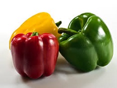 Fresh Capsicum, Packaging Size : 5 Kg, 10 Kg
