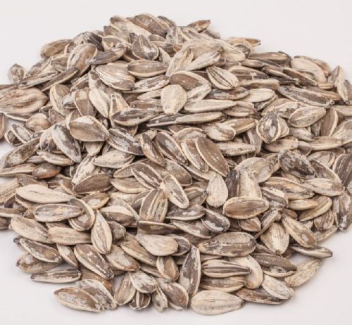Sunflower seeds