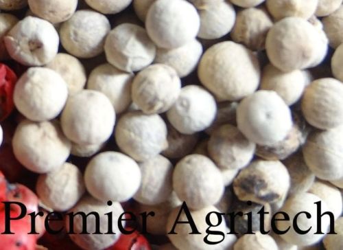 White Pepper Seeds