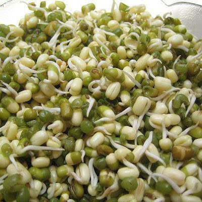 Mung Bean Sprouts