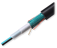 Ribbon Fiber Optic