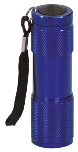 Blue 9 LED Flash Light