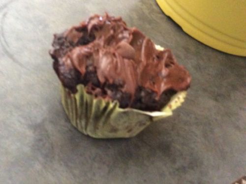 Simple Chocolate Cupcakes