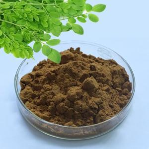 Moringa leaf powder, Storage : Store In A Cool, Dry Place