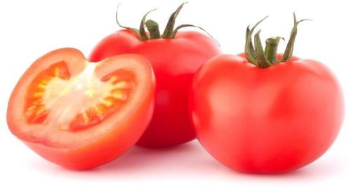 Organic Fresh Tomatoes, Packaging Type : Jute Bag, Net Bag