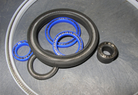 Spring Energized Seals