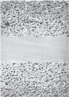 Expanded Teflon Sheet