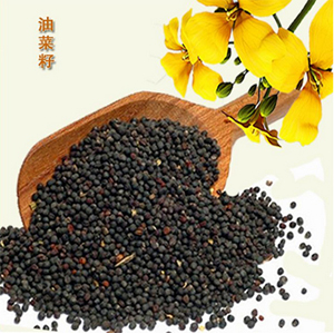 Rapeseed Oil Refining Equipment