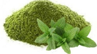 Mint Leaves Powder