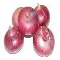 Red onion For Human Consumption