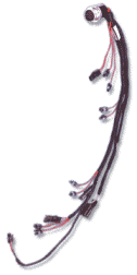 Wire Harnesses