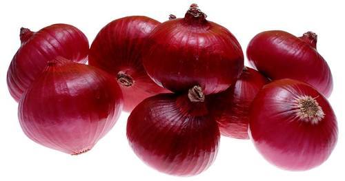 Organic Fresh Onion, Size : Large, Medium, Small