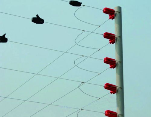 Electric Security Fence
