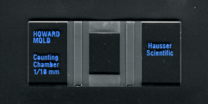 Counting Chambers Howard Mold