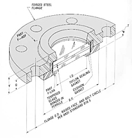 Flange Mounted Sight Glass