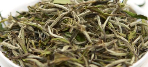 White Tea Leaves