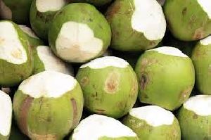 Organic Tender Coconuts