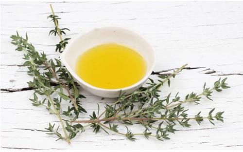 Common Thyme Oil, For Cooking, Medicines, Purity : 99%