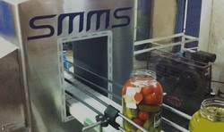 Pickle Metal Detector