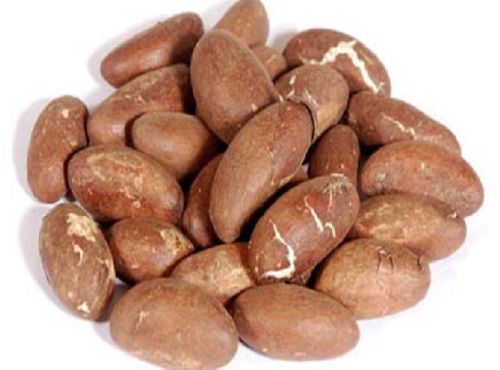 Bitter Kola Nuts, Packaging Size : 2 Kg