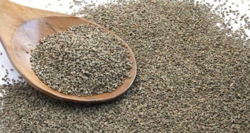 Ajwain seed, Packaging Size : 5-10kg