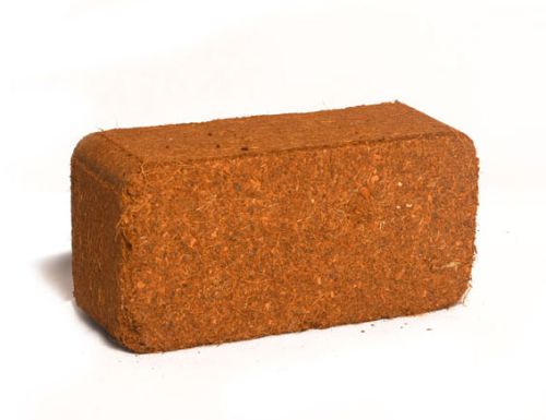 Coco Peat Briquette