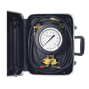 Portable Indicator, Model Number : 1126P-2