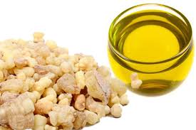 Olibanum Oil