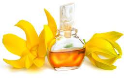 Ylang Ylang Oil, Brand Name : RK Products