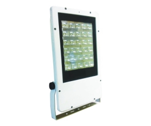 LED Flood Light, Model Number : ELGT313-I