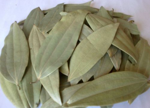 Bay Leaf