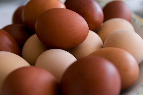 Brown Eggs, For Food