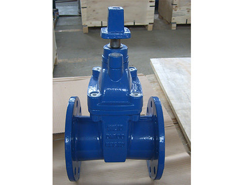 Flanged End Gate Valve