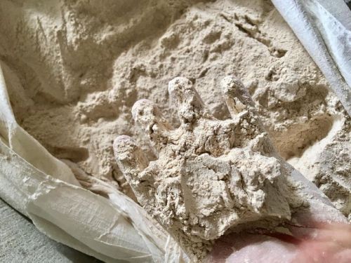 Tapioca Residue Powder, Brand Name : vdelta, Grade : AAA