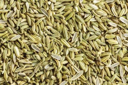 Fennel Seeds