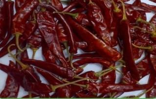 ENDO-5 Dried Red Chilli