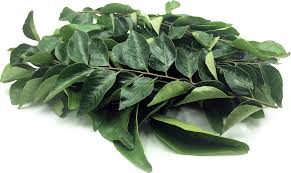Curry leaves