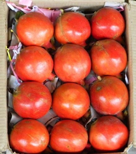 Fresh pomegranate, Is It Organic : Organic