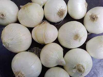 Fresh White Onion