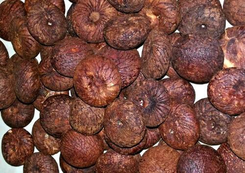 Areca Nut