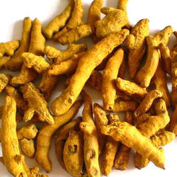 Organic Turmeric Finger, For Ayurvedic Products, Cooking, Cosmetic Products, Feature : Healthy For Skin