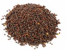 Mustard seeds, Shelf Life : Up To 2 Years When Stored Properly.