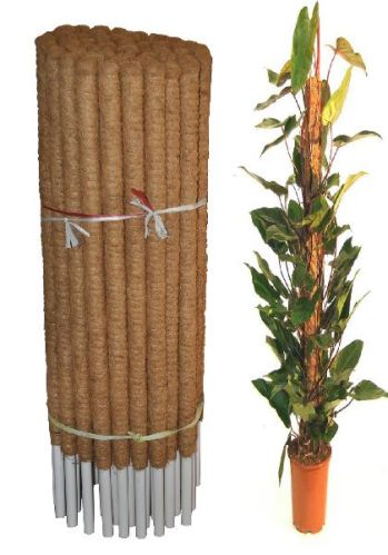 Coir Coco Poles, For Garden, Length : 15-20inch, 20-25inch, 25-30inch