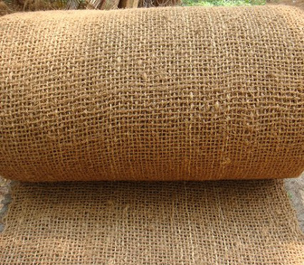 Coir Geotextile, For Covering Agriculture Land, Pattern : Plain