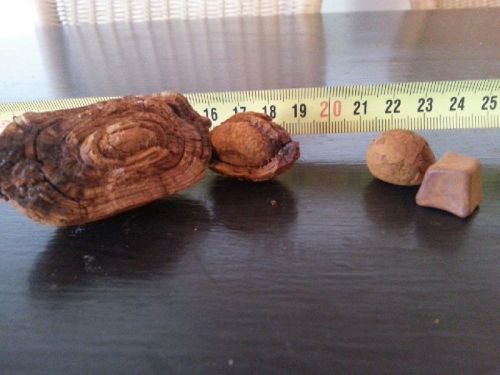 Ox Gallstone, Purity : 99%