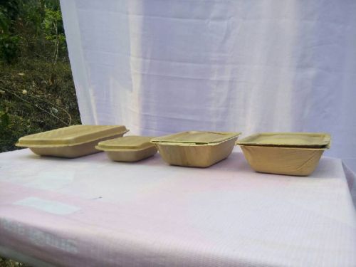 Areca Leaf Plates