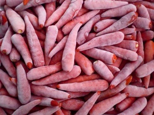 FROZEN RED CHILI/ FROZEN GREEN CHILI, Packaging Type : Natural color