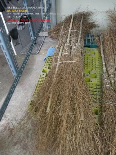 Straw Brooms, Brand Name : Viet Delta, Packaging Type : YELLOW