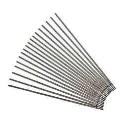 Stainless Steel Electrodes